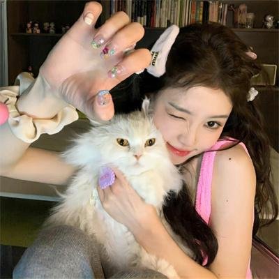 龙年之同学会风云